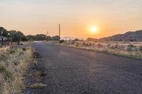 an empty country road with telephone poles at sunset on the other side of it and grass in front of the road