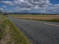 an empty country road with trees in the middle and farmland and mountains in the background