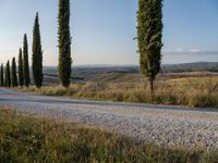 trees line an empty country road near the mountains and trees in tuscany, italy, europe