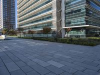 an empty courtyard in front of a very tall glass building with trees, plants and grass