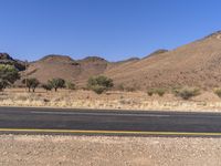 a road passing through an empty desert area with mountains in the background a green plant is on the left side of the road