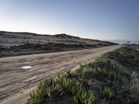 an empty dirt road on a beach covered in bushes and sand with water puddles