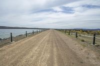 an empty dirt road by the water with fencing along it, with birds perched on the fence