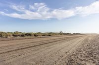 an empty dirt road with a lone blue truck in the distance as someone on the beach prepares to catch a frisbee