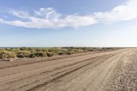 an empty dirt road with a lone blue truck in the distance as someone on the beach prepares to catch a frisbee