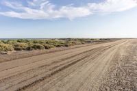 an empty dirt road with a lone blue truck in the distance as someone on the beach prepares to catch a frisbee