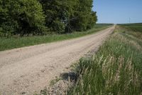 the dirt road is empty of any cars on it and many brush and grass is in the foreground