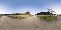 a wide angle lens image of an empty dirt road with a tree in the middle