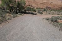 an empty dirt road in the desert with a house and trees by it with no people