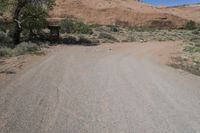 an empty dirt road in the desert with a house and trees by it with no people