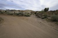 an empty dirt road runs through the desert and has small shrubbery and bushes in the distance