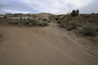 an empty dirt road runs through the desert and has small shrubbery and bushes in the distance