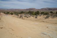 the dirt road is empty of vehicles on a clear day in the desert of the western united states