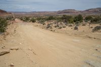 the dirt road is empty of vehicles on a clear day in the desert of the western united states