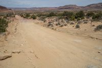 the dirt road is empty of vehicles on a clear day in the desert of the western united states