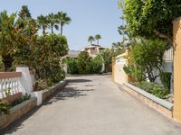 an empty driveway leads up to a building and palm trees in the background on either side