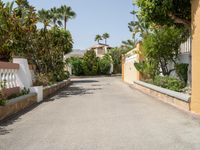 an empty driveway leads up to a building and palm trees in the background on either side