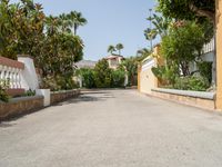 an empty driveway leads up to a building and palm trees in the background on either side