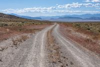 an empty gravel road with mountains in the distance and grass on either side of the road