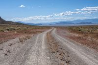 an empty gravel road with mountains in the distance and grass on either side of the road