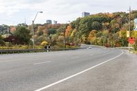 an empty highway with signs on both sides and autumn trees in the background as well