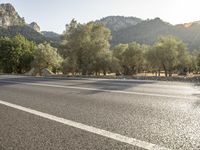 a picture of an empty highway with trees in the background, which are very close