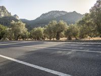 a picture of an empty highway with trees in the background, which are very close