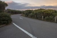 a highway that is empty with several signs on it and some bushes growing next to it