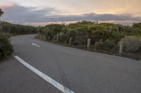 a highway that is empty with several signs on it and some bushes growing next to it