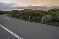 a highway that is empty with several signs on it and some bushes growing next to it