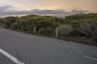 a highway that is empty with several signs on it and some bushes growing next to it