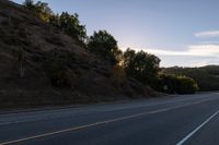 an empty highway with a stop sign in the sunset light behind it and a forest in the distance