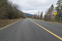 a highway is empty with two yellow signs on both sides of it, along with trees and bushes on both sides,