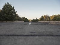 an empty highway on the outskirts of wooded area in the sun set setting, looking at a small yellow fire hydrant