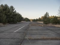 an empty highway on the outskirts of wooded area in the sun set setting, looking at a small yellow fire hydrant
