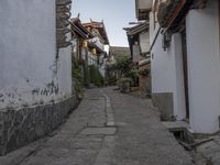 the street is narrow but empty of people or buildings in the area which they are living in