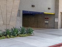 an empty parking garage at a sidewalk side parking lot with tall plants and a stop light