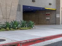 an empty parking garage at a sidewalk side parking lot with tall plants and a stop light