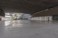 an empty parking garage with concrete floors and walls and no chairs in it and palm trees