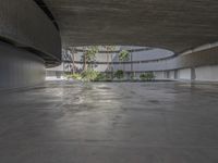 an empty parking garage with concrete floors and walls and no chairs in it and palm trees