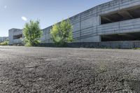 an empty parking garage with two trees and bushes by the concrete wall of an empty parking garage