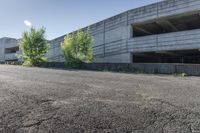 an empty parking garage with two trees and bushes by the concrete wall of an empty parking garage