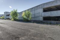 an empty parking garage with two trees and bushes by the concrete wall of an empty parking garage