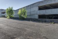 an empty parking garage with two trees and bushes by the concrete wall of an empty parking garage