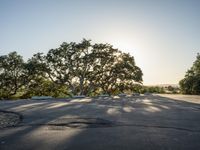 an empty parking lot near a lush green field and trees at sunrise time on a clear day