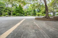 an empty parking lot filled with plants and trees in a city setting in front of a tall glass building