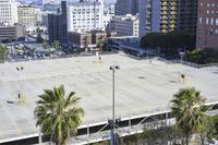 an empty parking lot in front of some tall buildings with palm trees in the foreground