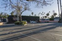 an empty lot with a parking spot in the foreground near palm trees and buildings