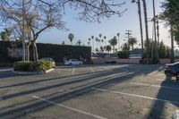 an empty lot with a parking spot in the foreground near palm trees and buildings