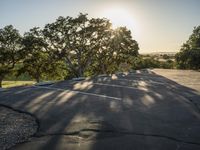 trees are growing out from an empty parking lot near a tree filled hill with rock formations